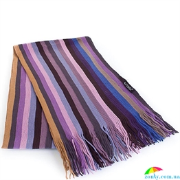 Шарф мужской шерстянной в стиле Paul Smith 164*26  см BAOSIDI (БАОСИДИ) DC183-400 фиолетовый, шерсть