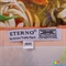 Платок женский атласный 69,5 на 68 см ETERNO (ЭТЕРНО) ES0406-6-2 оранжевый, атлас
