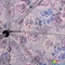 Зонт женский компактный автомат  FULTON (ФУЛТОН) FULL346-WeatherFloral серый, цветы
