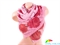 Шарф женский крепдешиновый 158*50 см ETERNO (ЭТЭРНО) ES0107-18-pink розовый, крепдешин