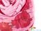 Шарф женский крепдешиновый 158*50 см ETERNO (ЭТЭРНО) ES0107-18-pink розовый, крепдешин